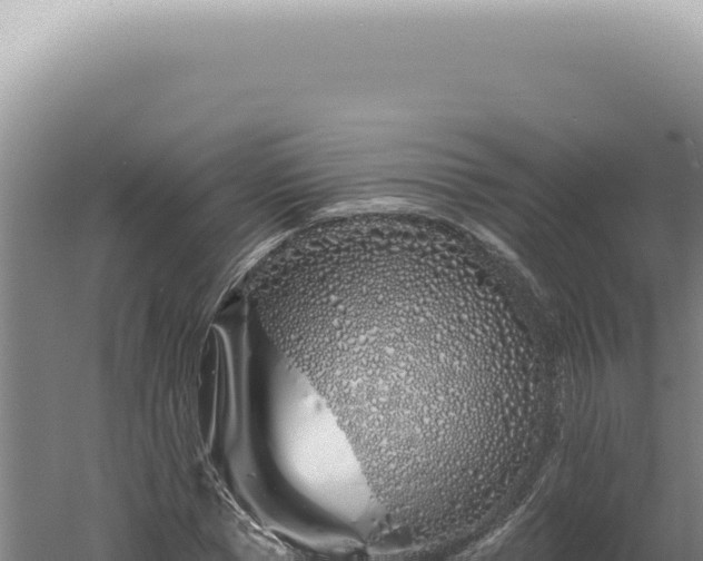 X0000060580921200511101652