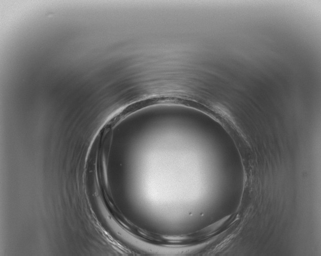 X0000060580924200511101652