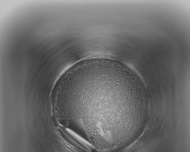 X0000060580925200511101652