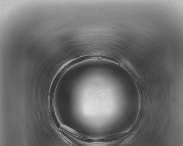 X0000060580932200511101652