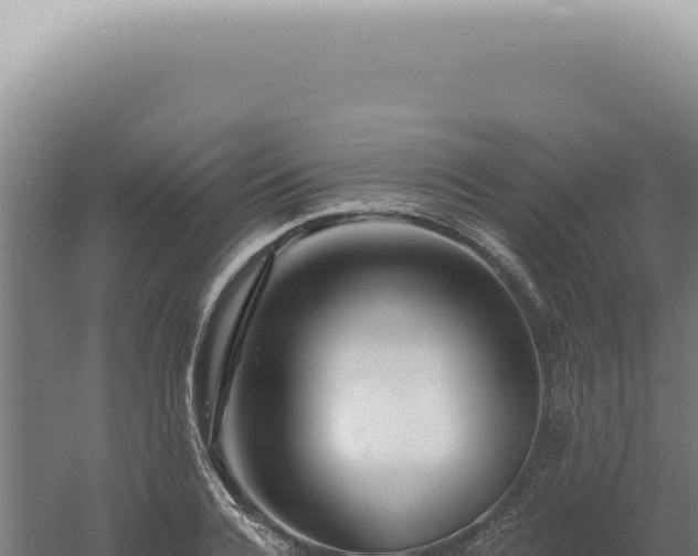 X0000060580936200511101652