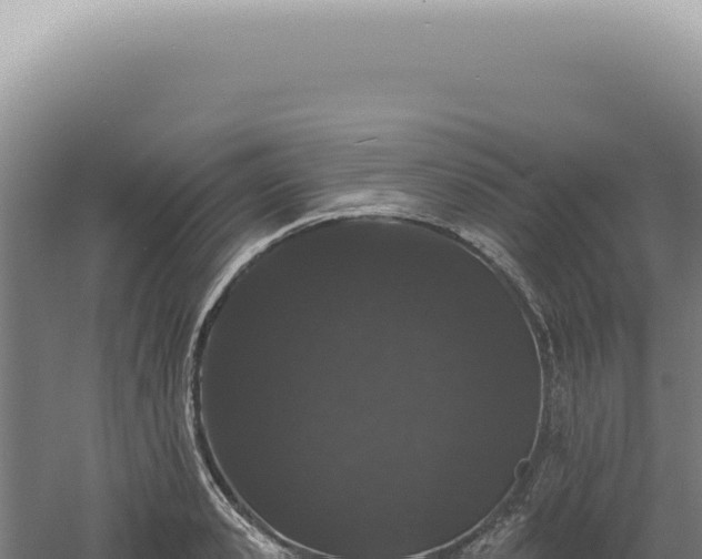 X0000060580941200511101652