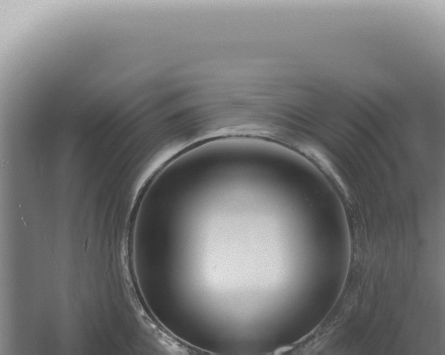 X0000060580952200511101652