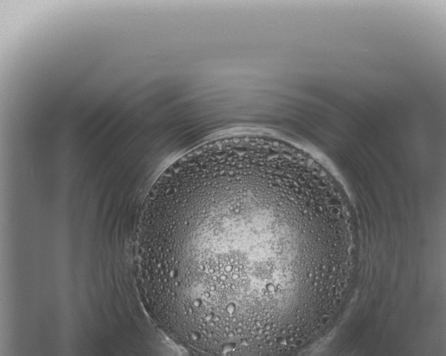 X0000060580953200511101652