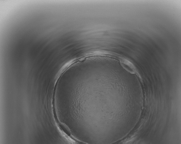 X0000060580954200511101652