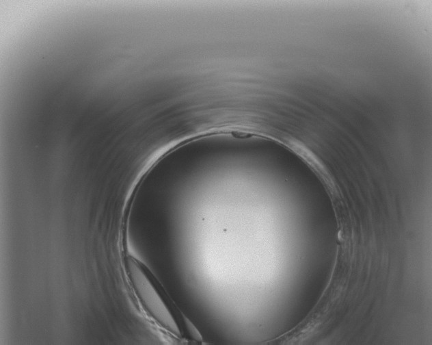 X0000060580956200511101652