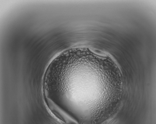 X0000060580957200511101652