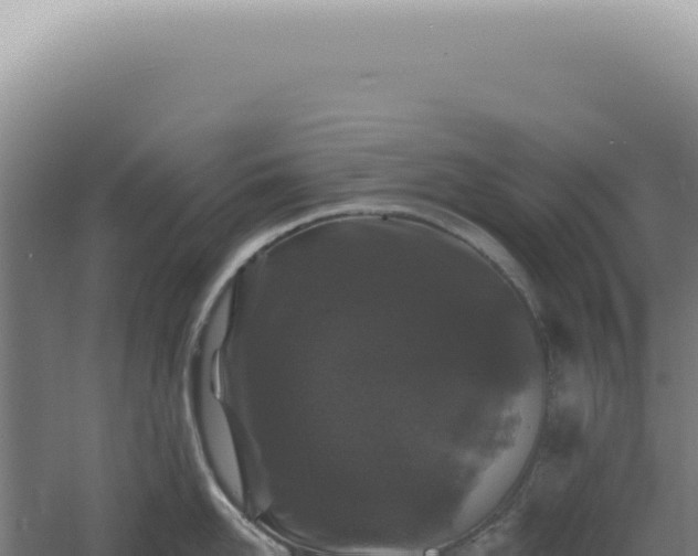 X0000060580958200511101652