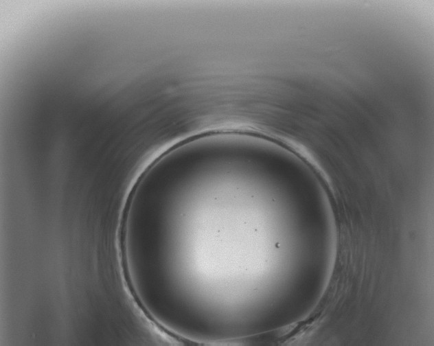 X0000060580959200511101652