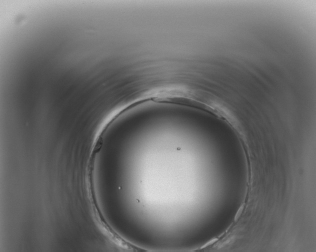 X0000060580960200511101652