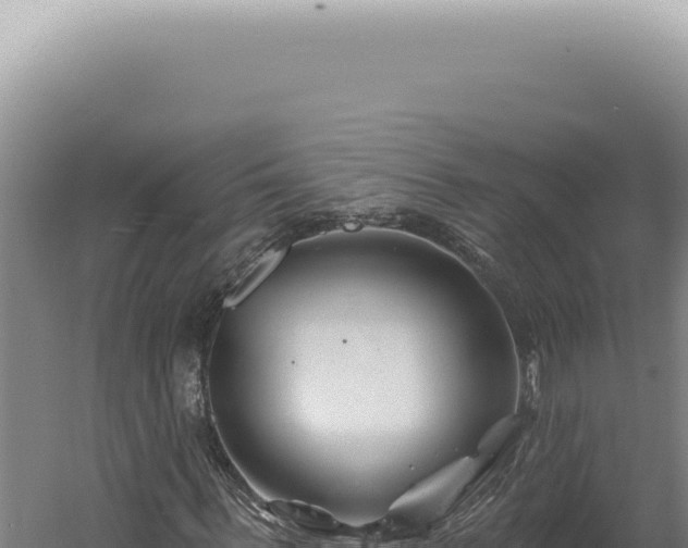 X0000060580963200511101651