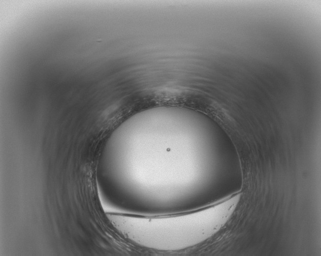 X0000060580964200511101651