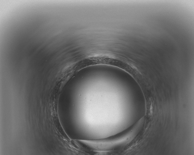 X0000060580965200511101651