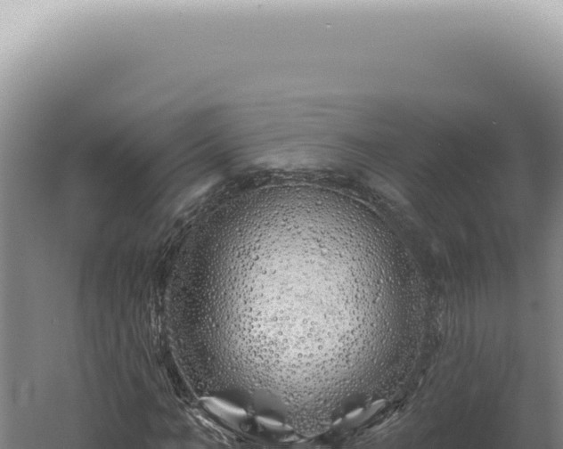 X0000060580966200511101651