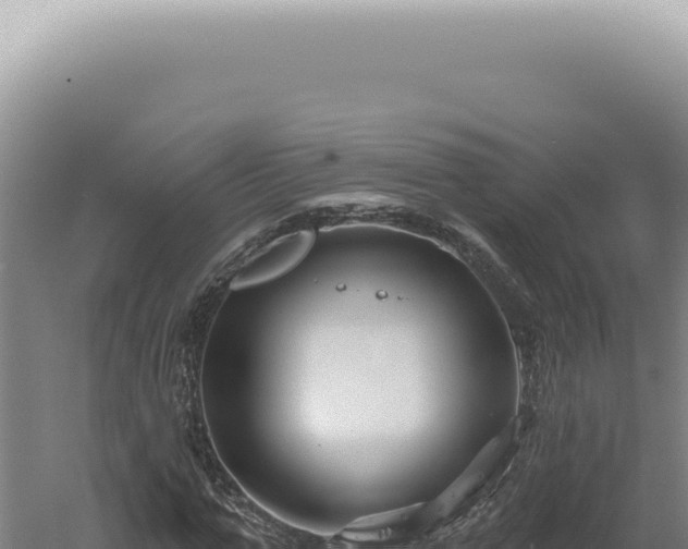 X0000060580967200511101651