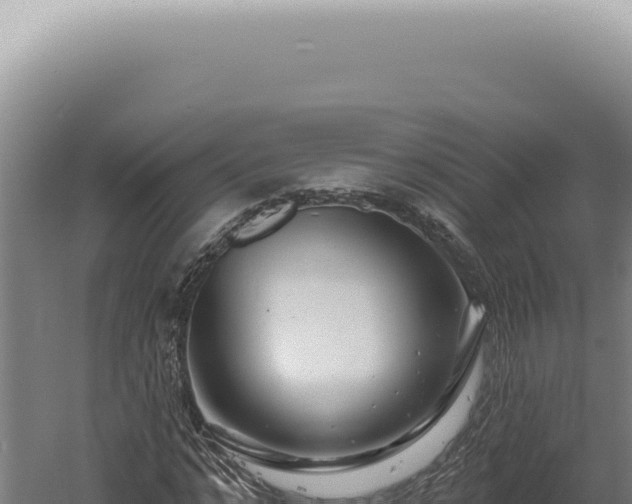 X0000060580968200511101651