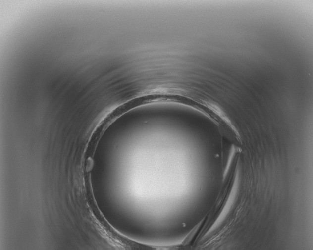 X0000060580972200511101651