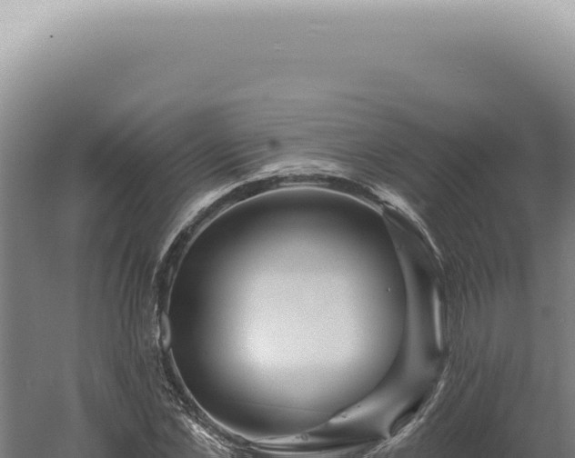 X0000060580973200511101651