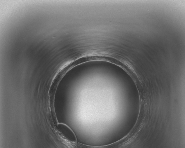 X0000060580974200511101651