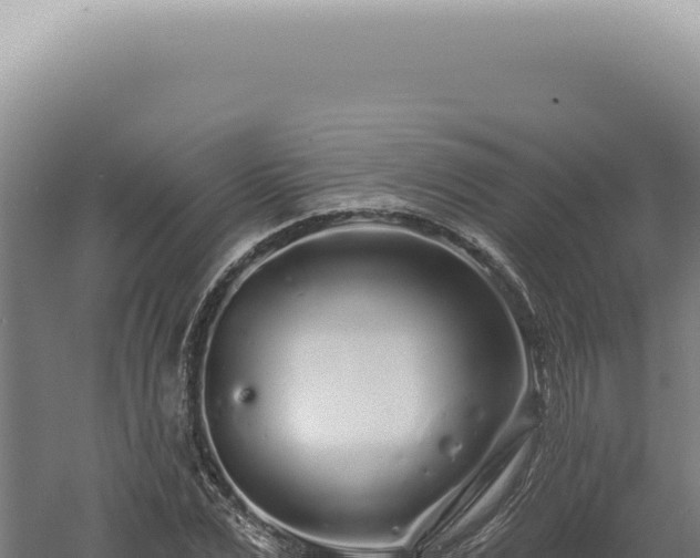 X0000060580975200511101651