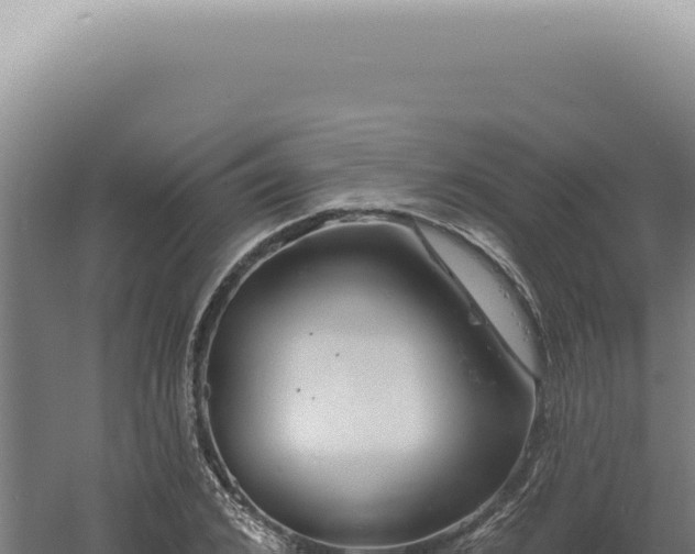 X0000060580976200511101651