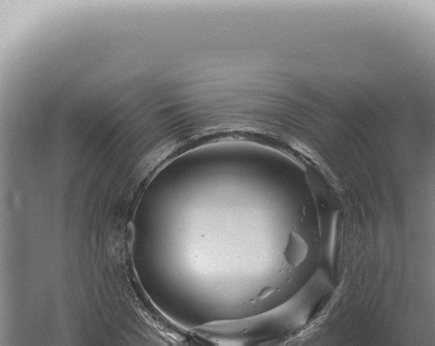 X0000060580977200511101651