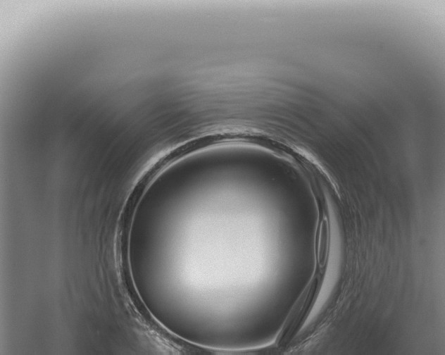 X0000060580983200511101651