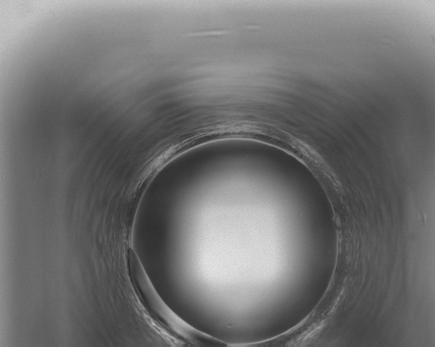 X0000060580985200511101651