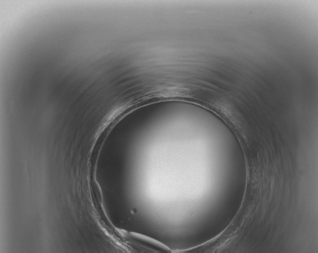 X0000060580986200511101651