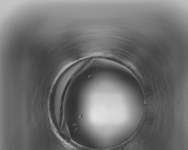 X0000060580991200511101651