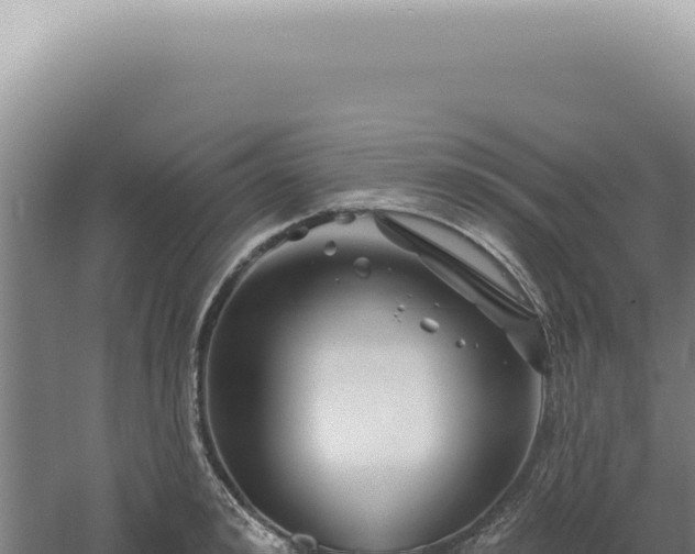 X0000060580992200511101651