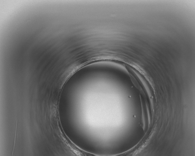 X0000060580993200511101651