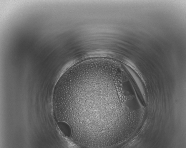 X0000060580994200511101651