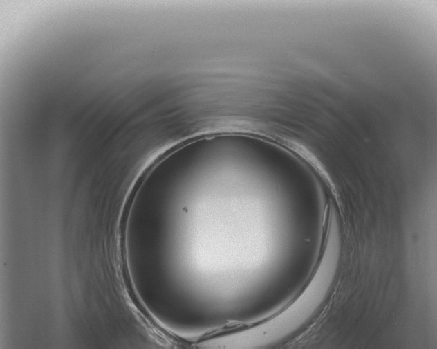 X0000060580996200511101651