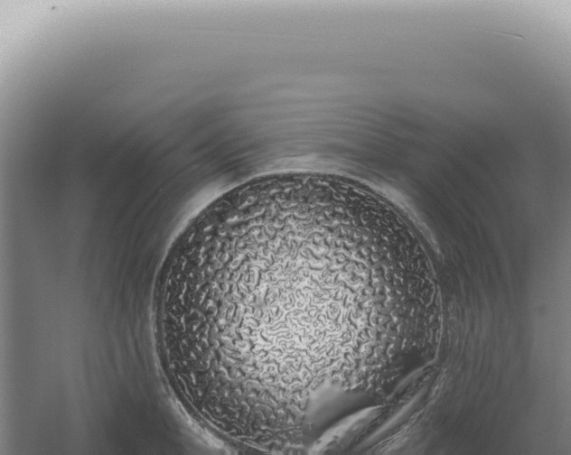 X0000060580998200511101651