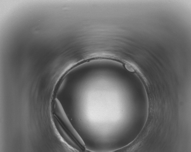 X0000060580999200511101651