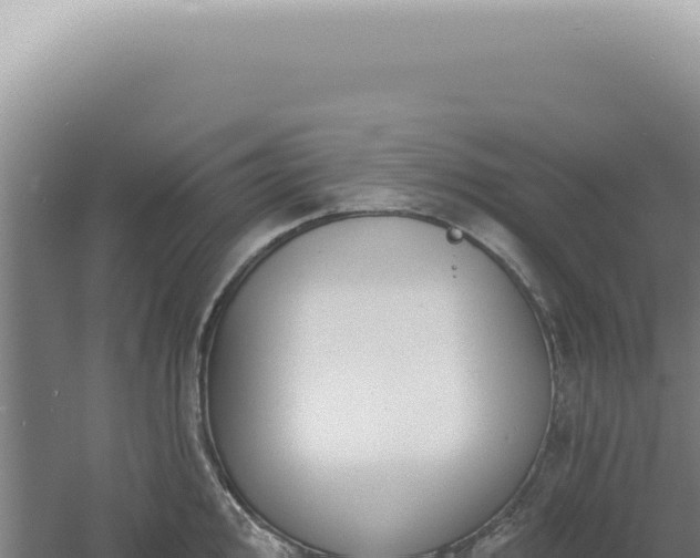 X0000060581000200511101651