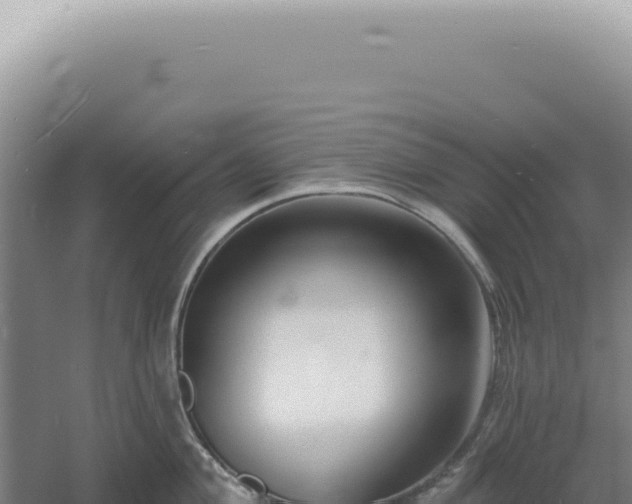 X0000060581004200511101651