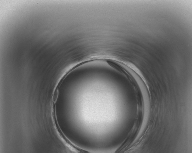 X0000060581005200511101651