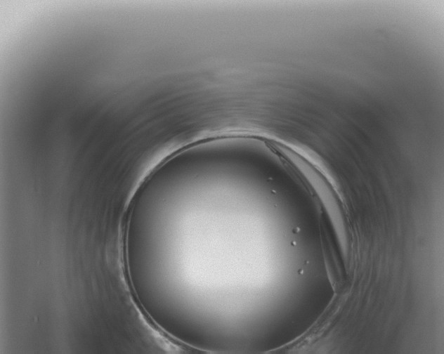 X0000060581006200511101651