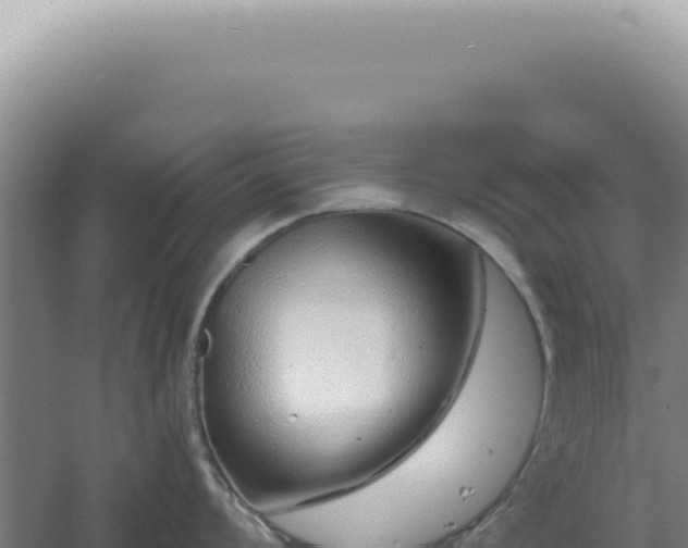 X0000060581008200511101651