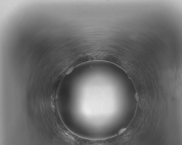 X0000060581010200511101650