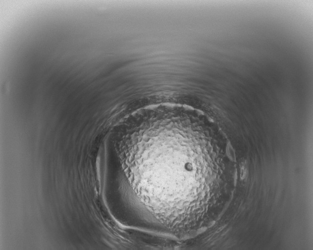 X0000060581011200511101650