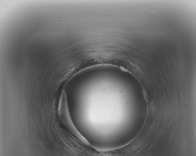 X0000060581012200511101650