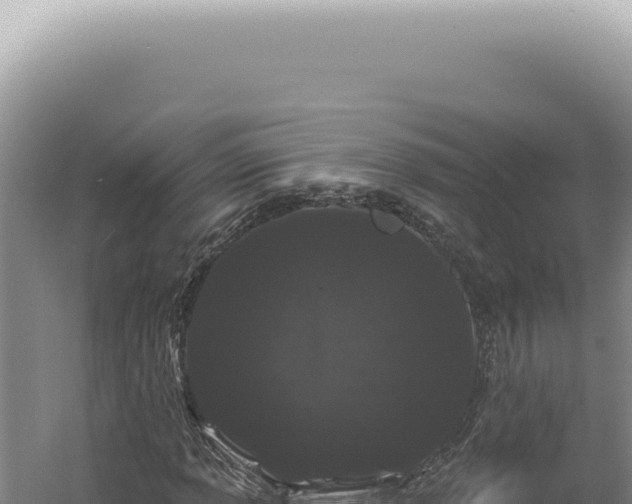 X0000060581013200511101650