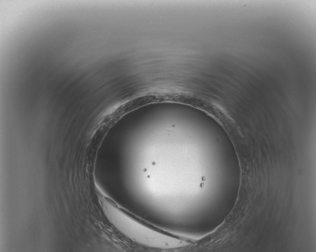 X0000060581016200511101650