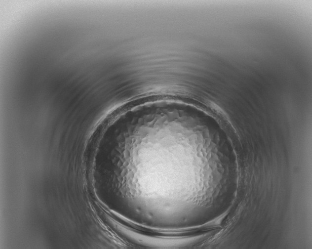 X0000060581019200511101650