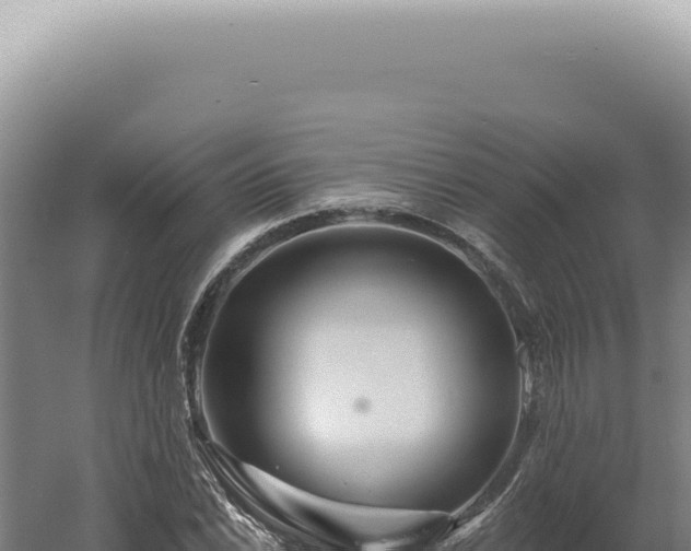 X0000060581022200511101650