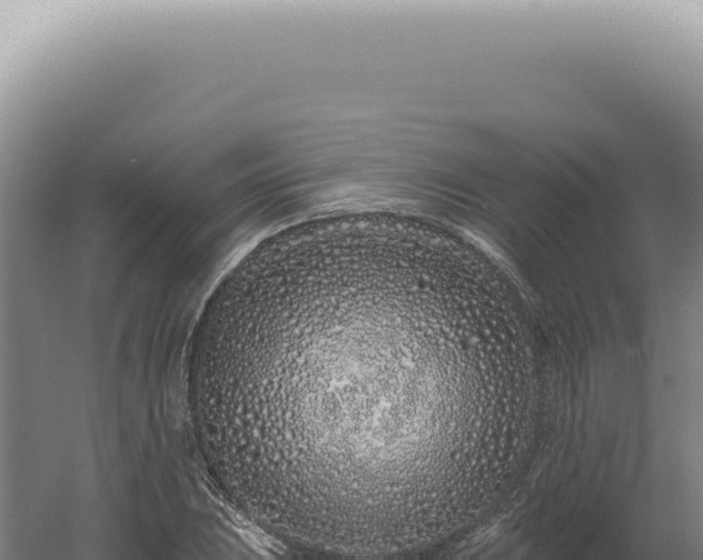 X0000060581023200511101650