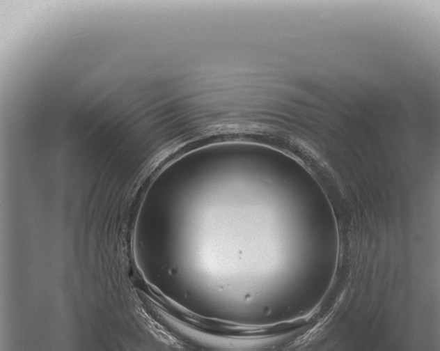 X0000060581025200511101650